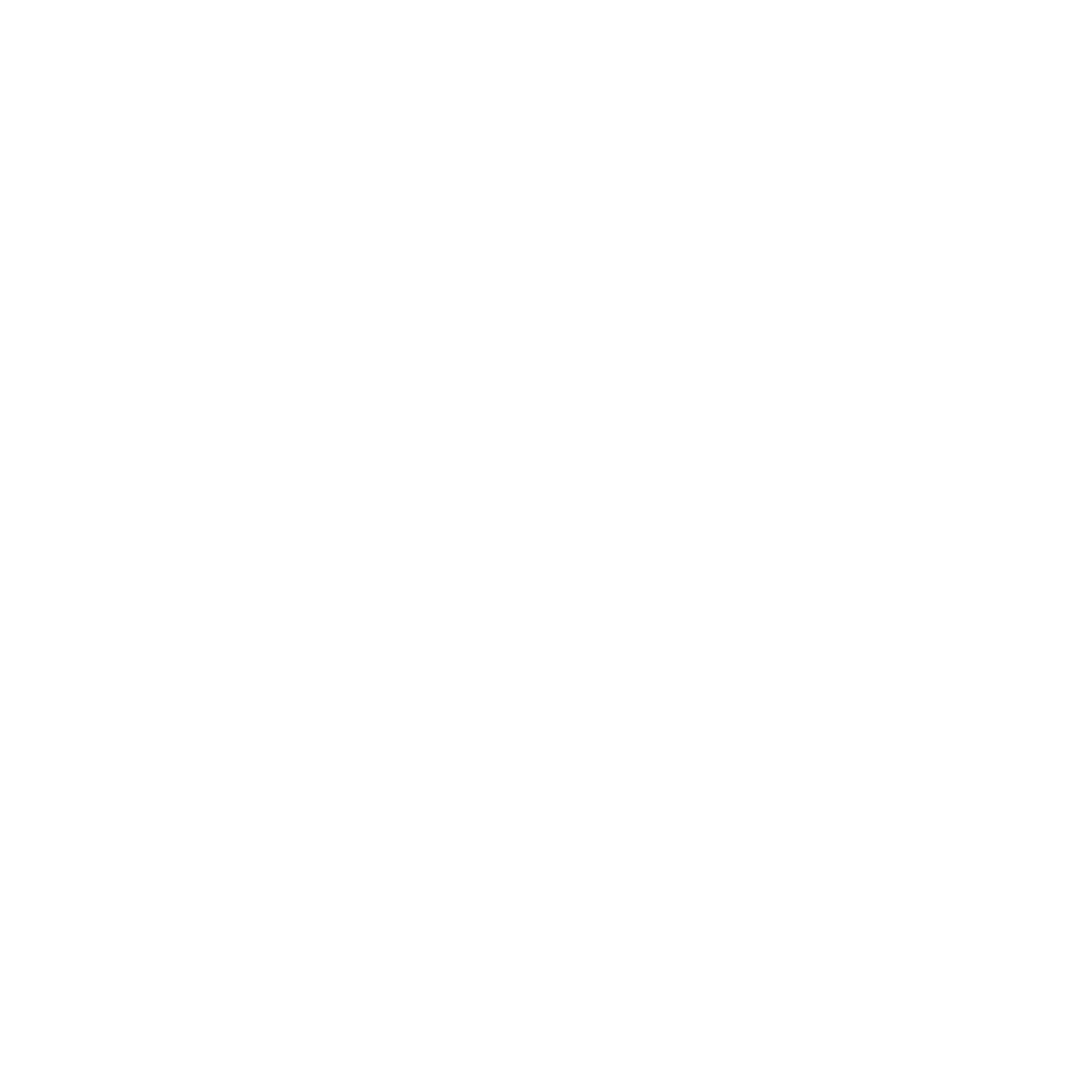 Pavelka Logo